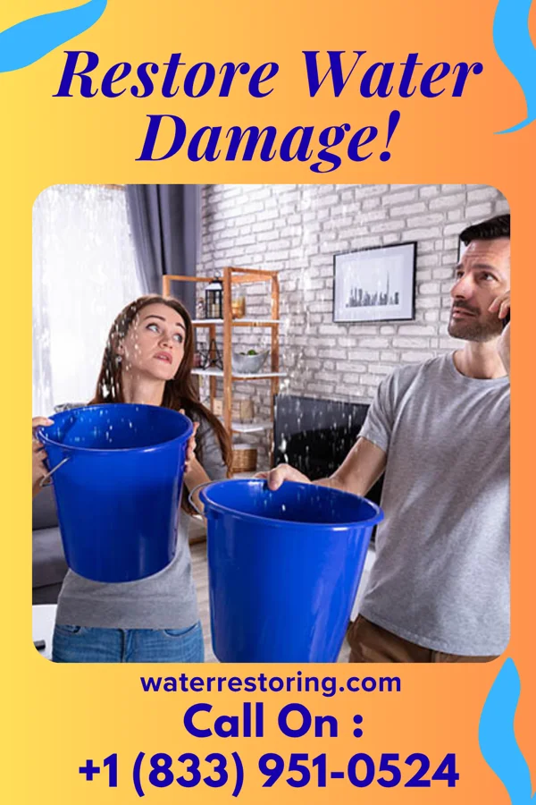 water restoration Royal Sewage Cleanup Group Nixon