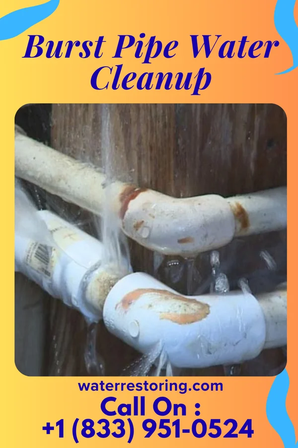 Burst Pipe Water Cleanup in Nixon, PA