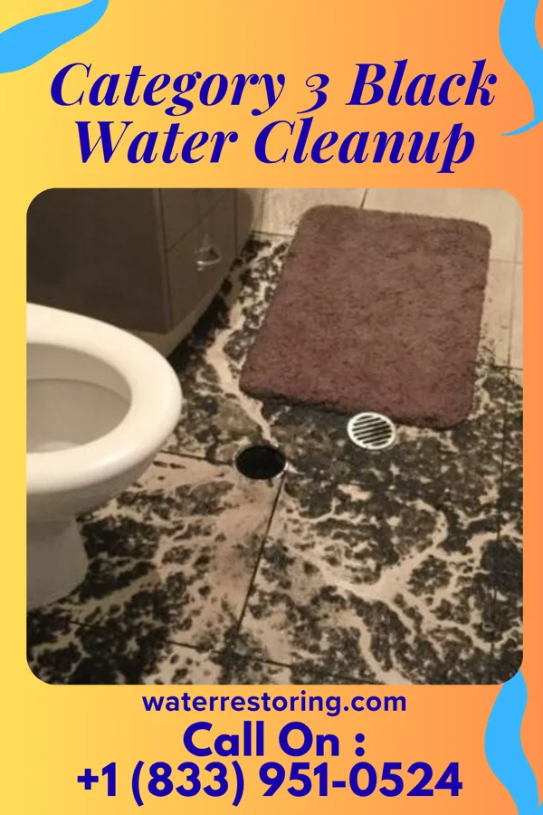 Category 3 Black Water Cleanup in Nixon, PA