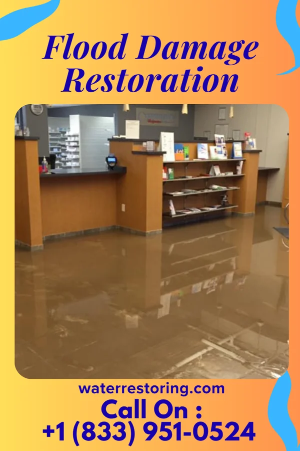 Flood Damage Restoration in Nixon, PA