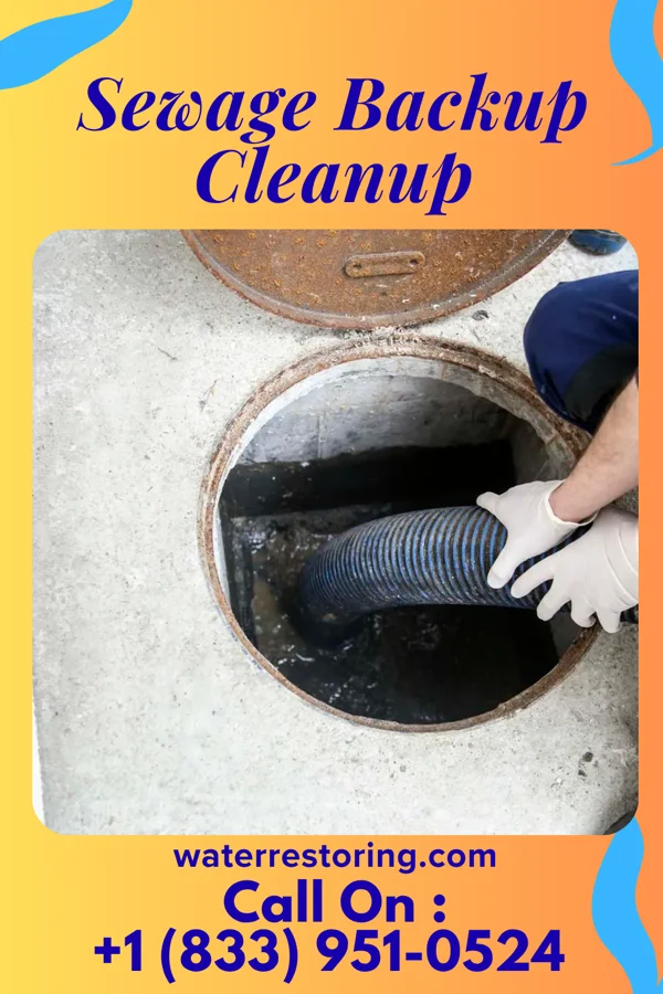 Sewage Backup Cleanup in Nixon, PA
