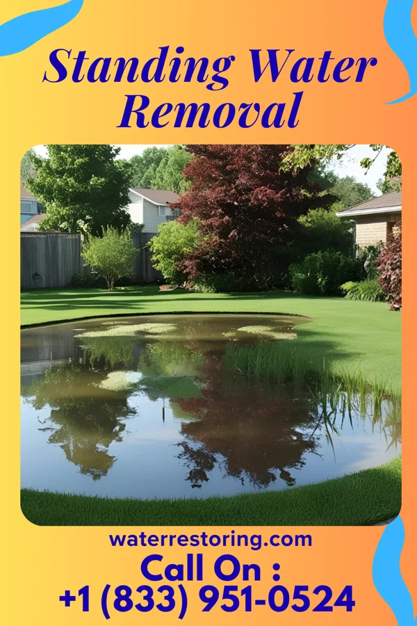 Standing Water Removal in Nixon, PA
